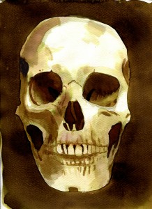 All Things Body into image human skull